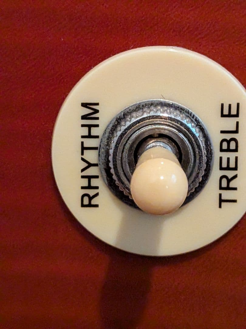 Blitz Leopard エレキギター サンバースト本体のみ