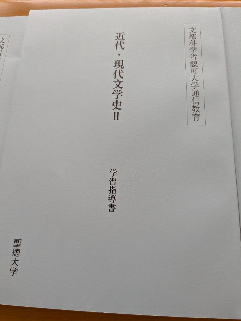 【即ご購入可能です。】聖徳大学 文学・小説 学習資料 2025年度