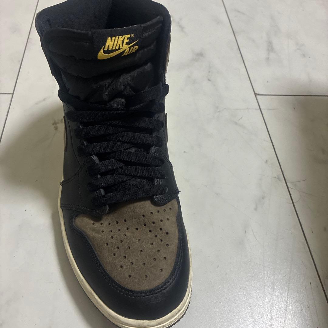 Nike Air Jordan 1 Retro High OG パロミノ