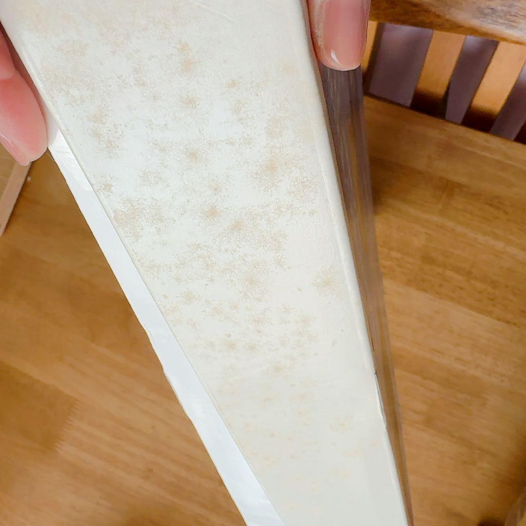 【公式】ドッツカード　ドーマン研究所 発行