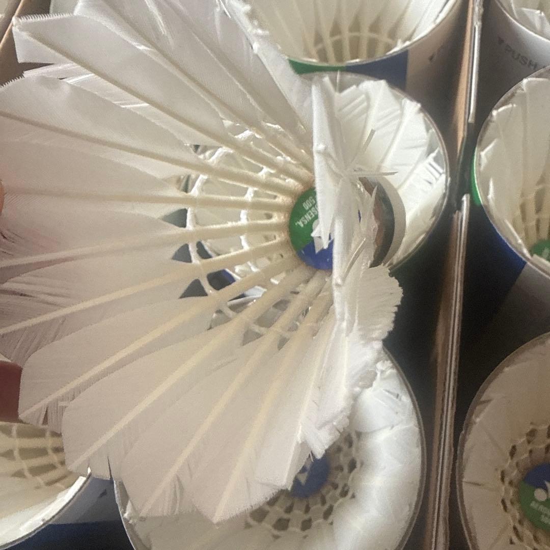 バドミントンシャトル　基礎打ち用　520球