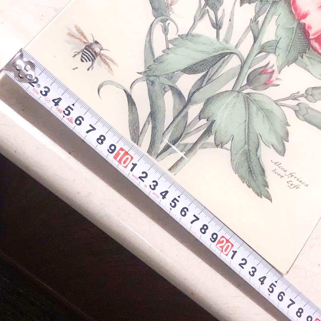 ラージサイズ　JOHN DERIAN ジョンデリアン デコパージュプレート