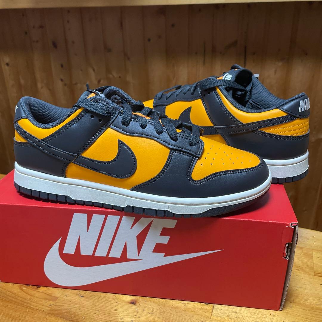 Nike Dunk Low Retro \