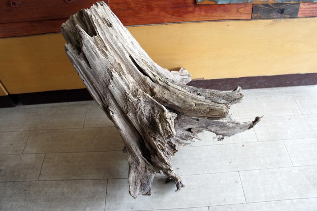 流木　インテリア　大型サイズ　送料無料　オブジェ　置物　ＤＩＹ