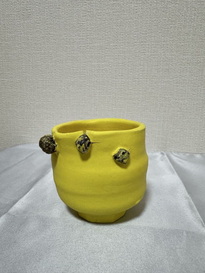 桑田卓郎 ぐい呑