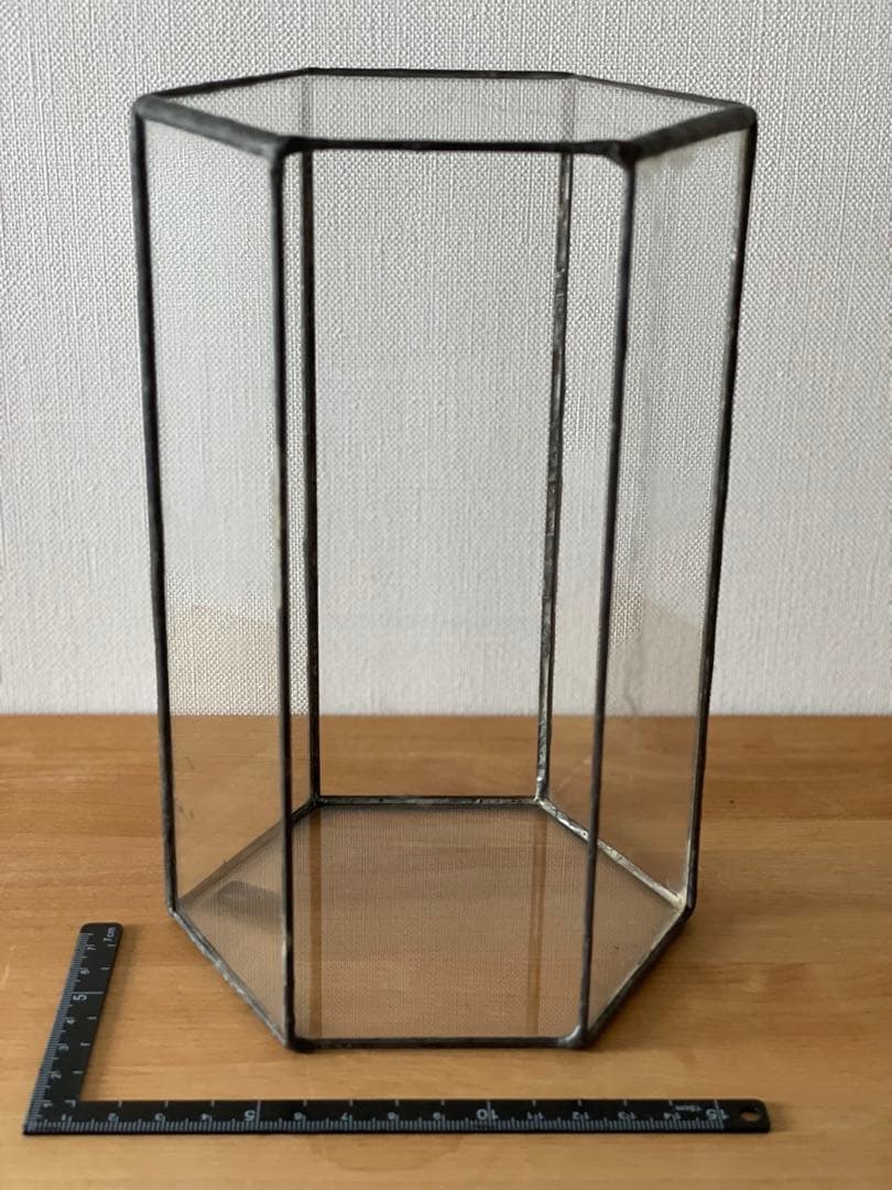 多肉用 テラリウム 苔リウム サボテン アガベ