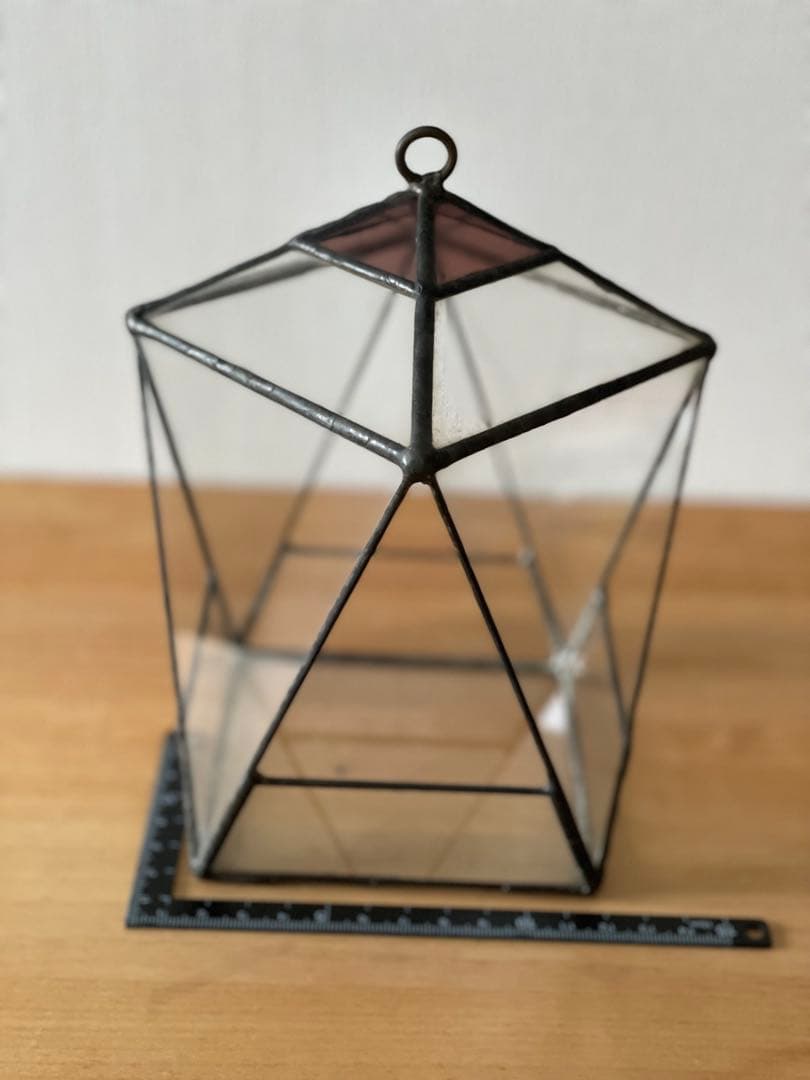 多肉用 テラリウム 苔リウム サボテン アガベ