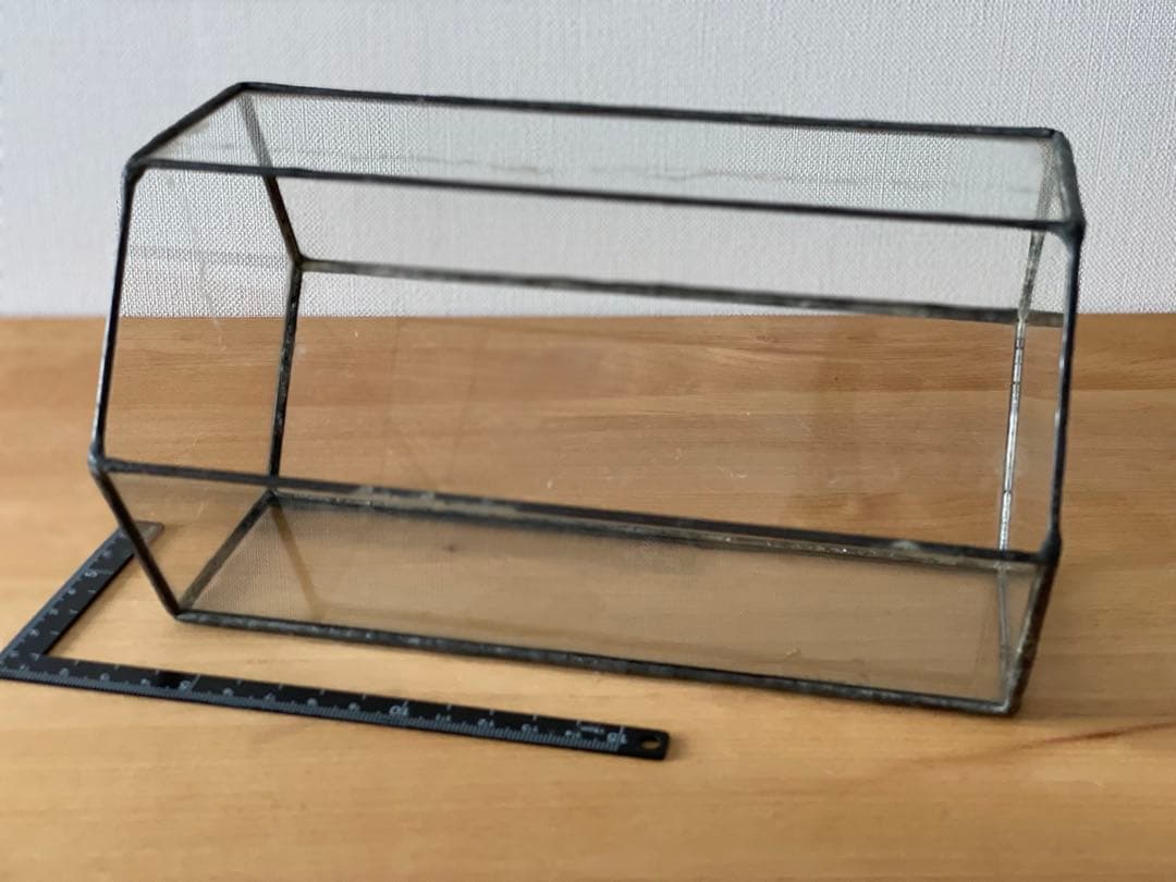 多肉用 テラリウム 苔リウム サボテン アガベ