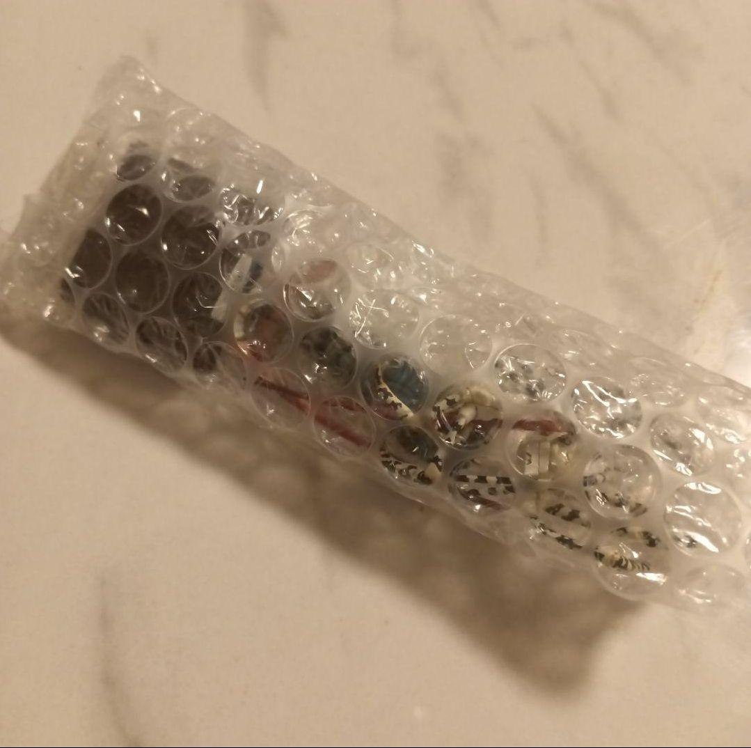 美品　ネイチャーテクニカラー　鳥羽水族館　ニシキエビ