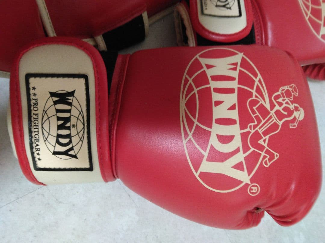 WINDY グローブ 8oz とレガースLサイズ 赤のセット