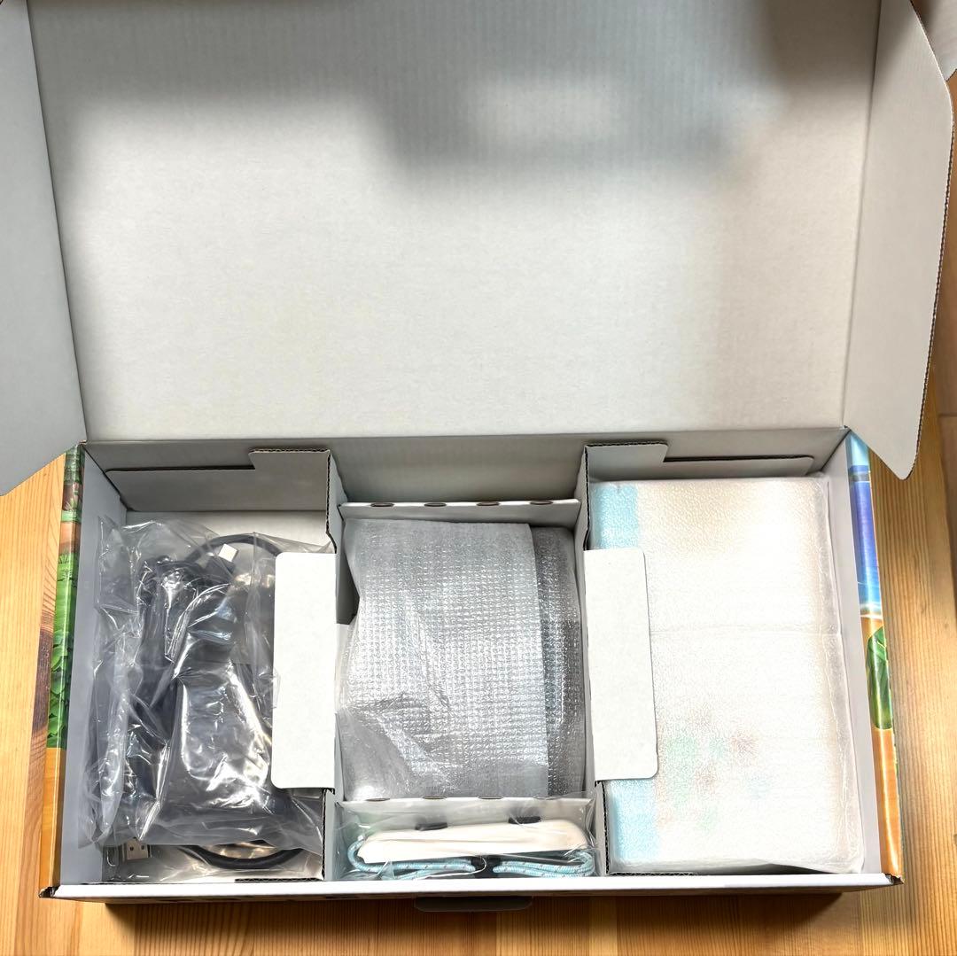 Nintendo Switch あつまれどうぶつの森エディション 本体