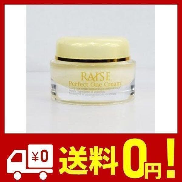 10個複数割引有RAISE レイズ パーフェクトワンクリーム オールインワン1