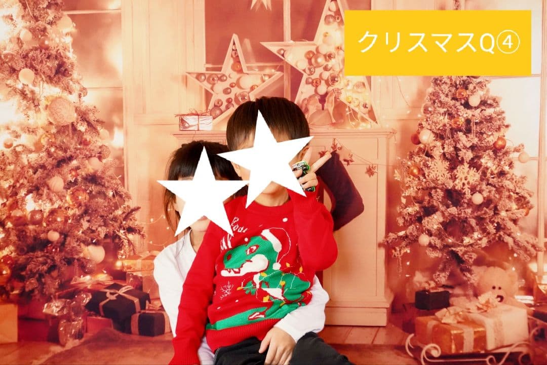 背景布【　お正月E　】サンプル　年賀状、ペット、子供撮影用　和柄　赤富士　梅の花