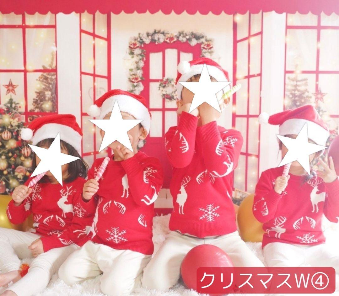 背景布【　お正月E　】サンプル　年賀状、ペット、子供撮影用　和柄　赤富士　梅の花