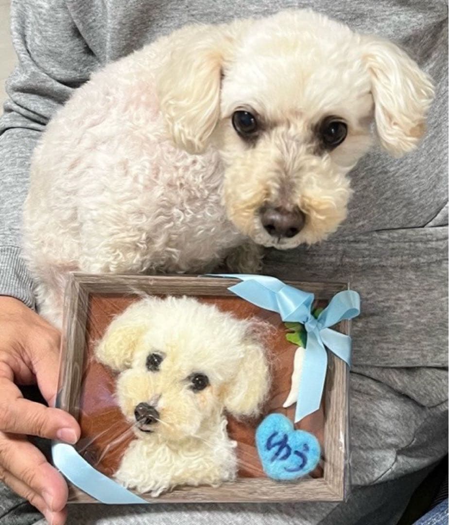 わんこ限定　うちの子プレート　羊毛フェルト作品