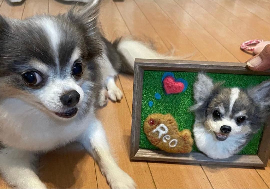 わんこ限定　うちの子プレート　羊毛フェルト作品