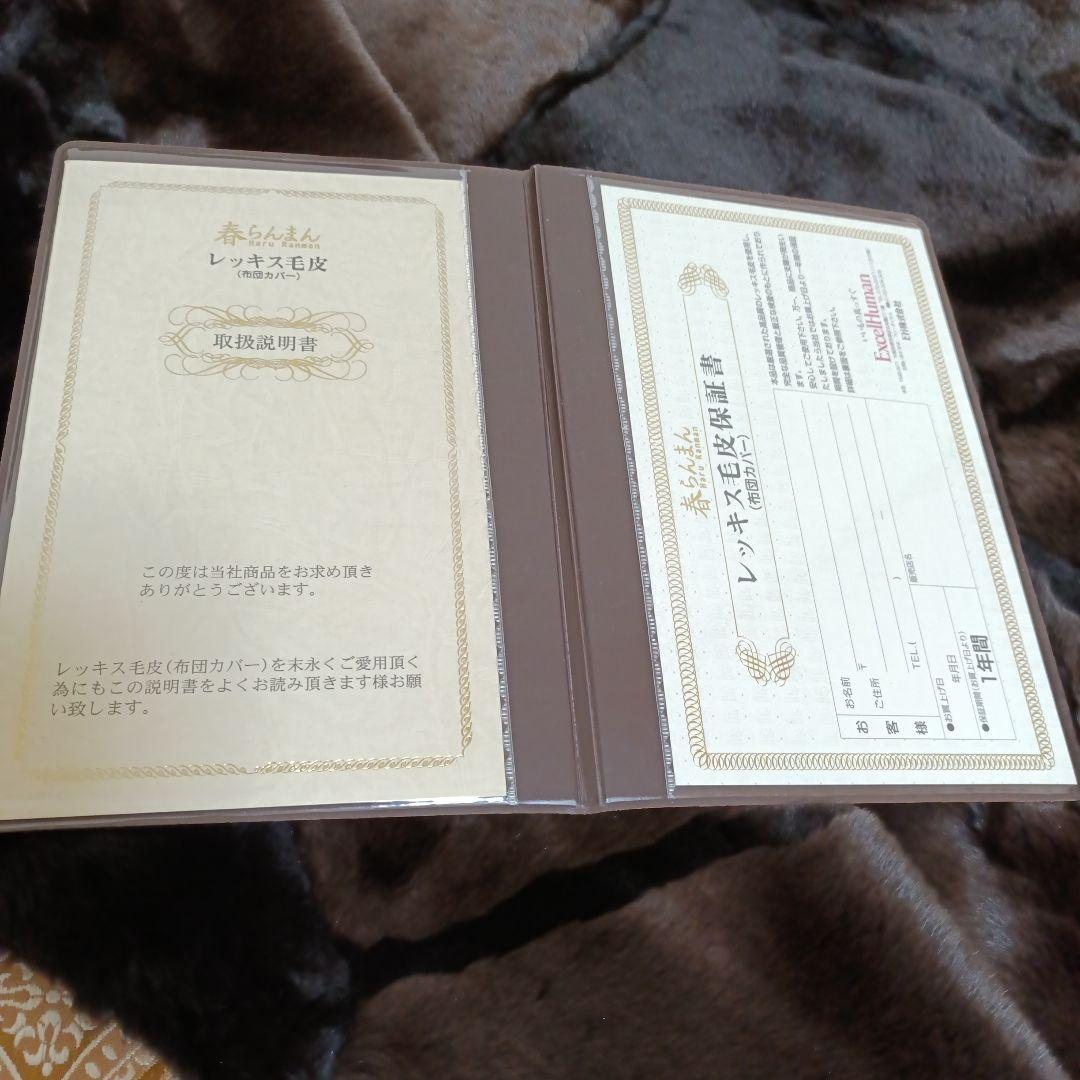 未使用　レッキスラビット　掛けカバー　Excel　Human　枕カバー2個セット