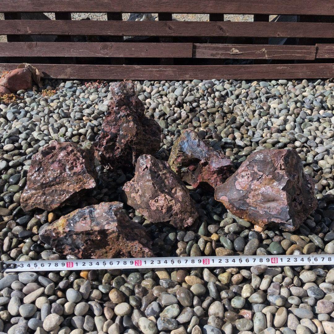 梅花石　セット　4　鑑賞石　石　水槽 アクアリウム　レイアウト　水草