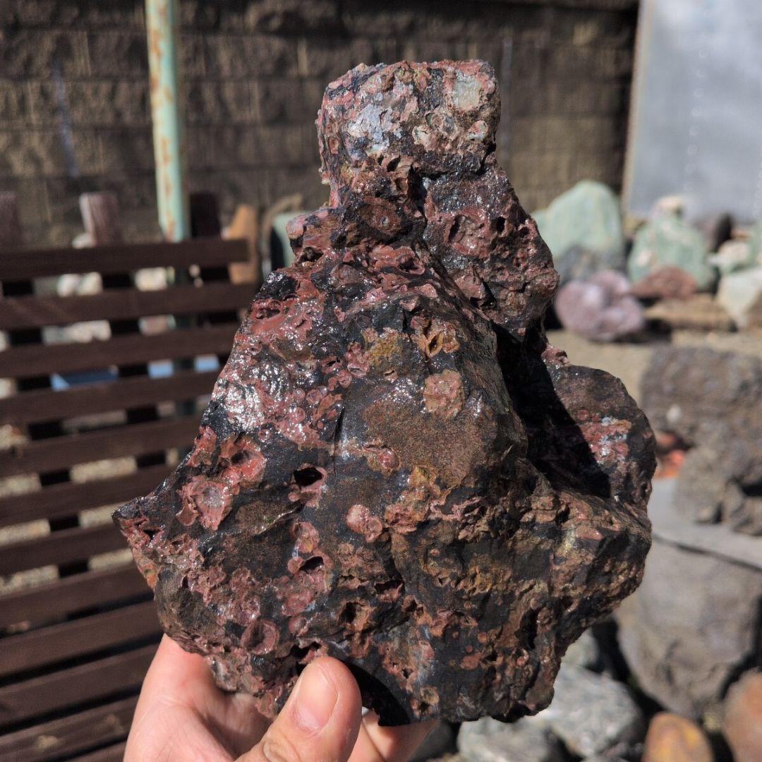 梅花石　セット　4　鑑賞石　石　水槽 アクアリウム　レイアウト　水草