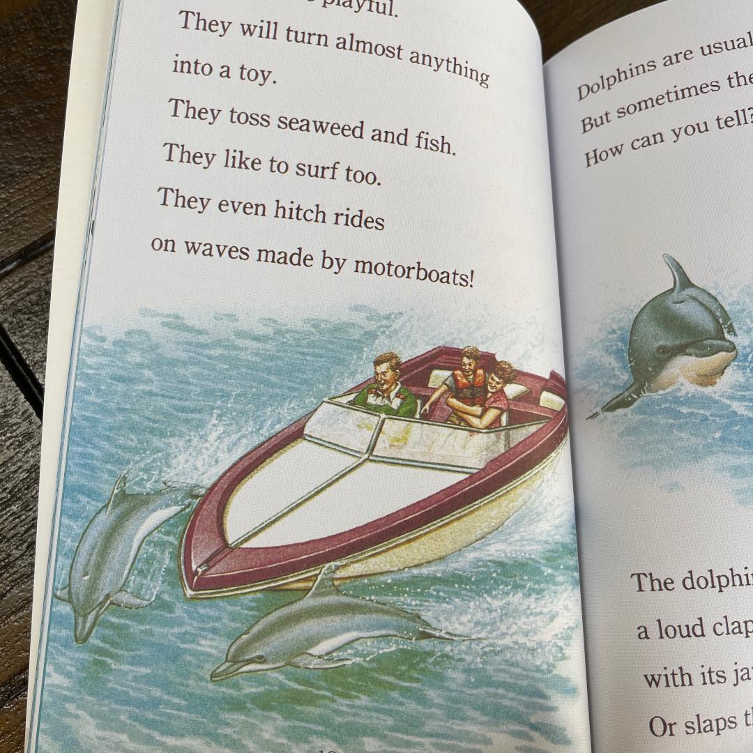 Step into Reading 128冊セット Step1-5