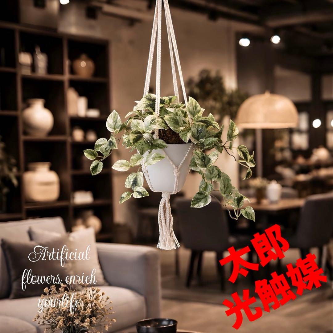 光触媒　人工観葉植物　ウォールグリーン　フェイクグリーン　壁掛けマーブルポトス4