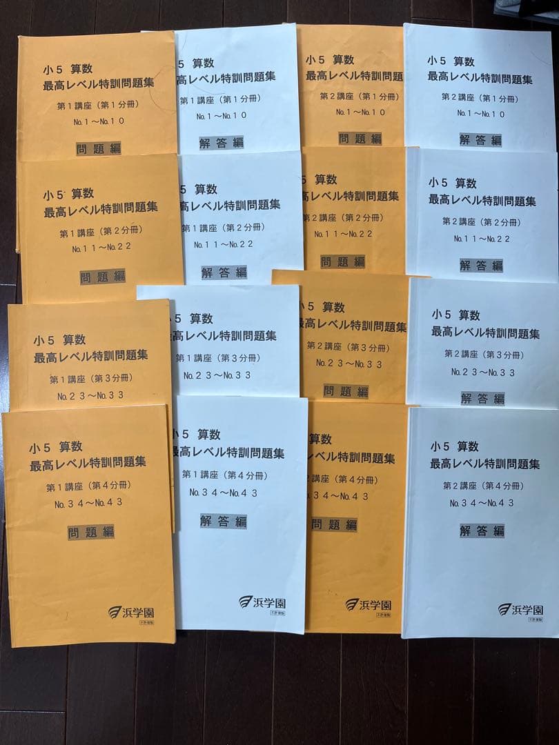 【フルセット】浜学園 小５ 最高レベル特訓 算数 難問解説集　テスト類　一式