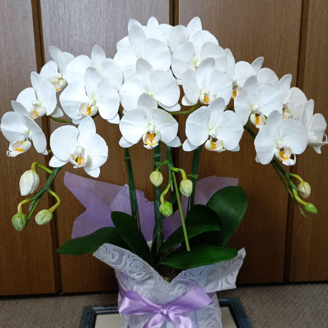 専用　ホワイト胡蝶蘭　クレイフラワー　樹脂粘土