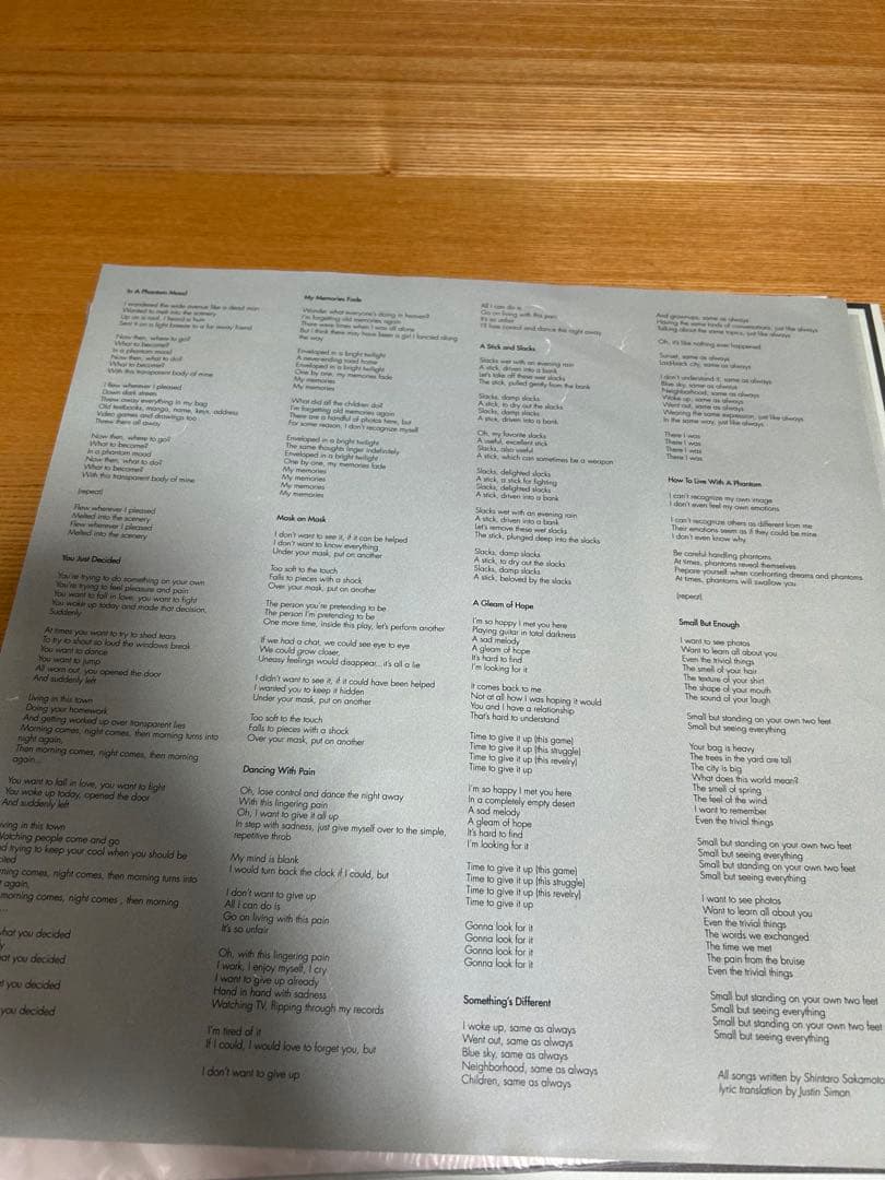 坂本慎太郎 幻とのつきあい方 LPレコード