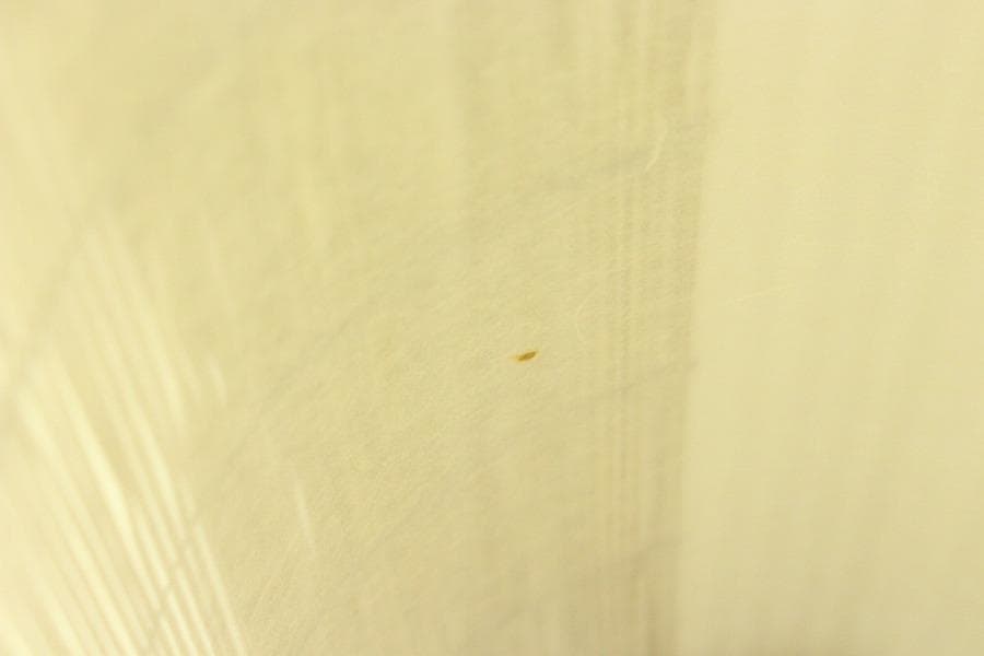 焼スス 竹 丸型スタンド ライト 照明 和モダン インテリア(メ1357)