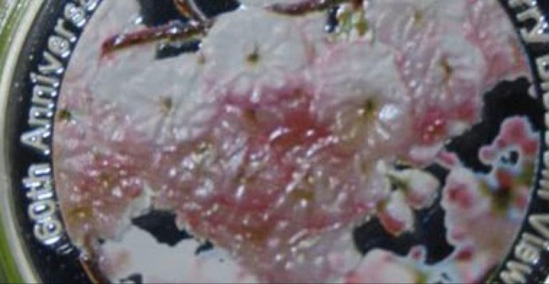 シルバー925 20g桜の通り抜け60年記念カラー銀メダル1点