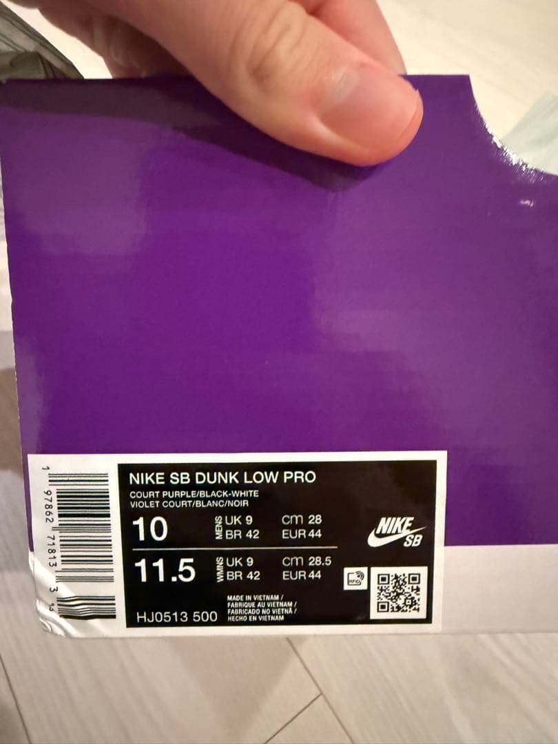 Hayley Wilson × Nike SB Dunk Low Pro