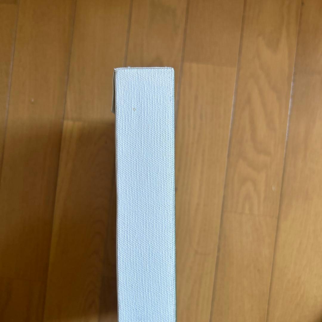 ジェリー鵜飼　キャンバスアート