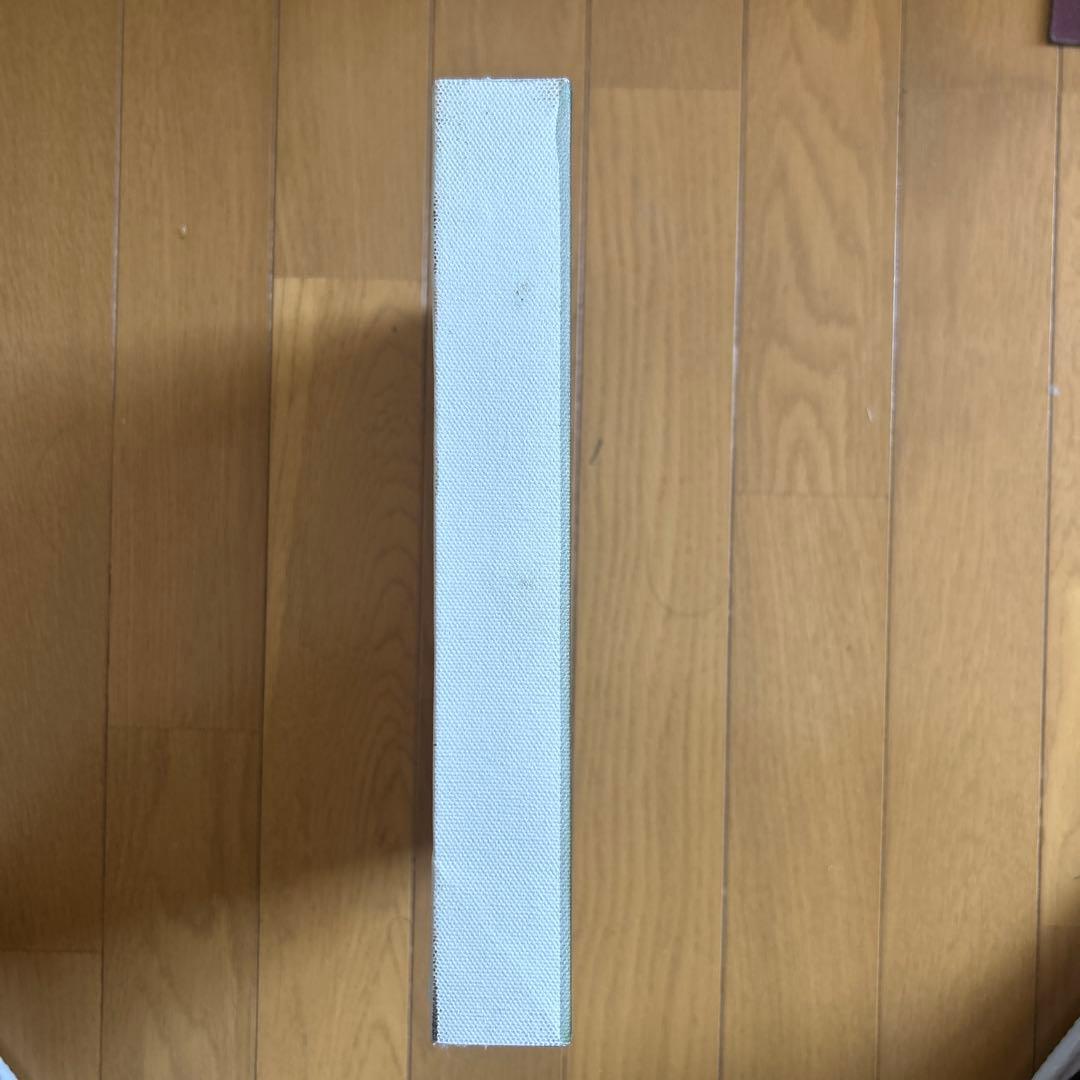 ジェリー鵜飼　キャンバスアート