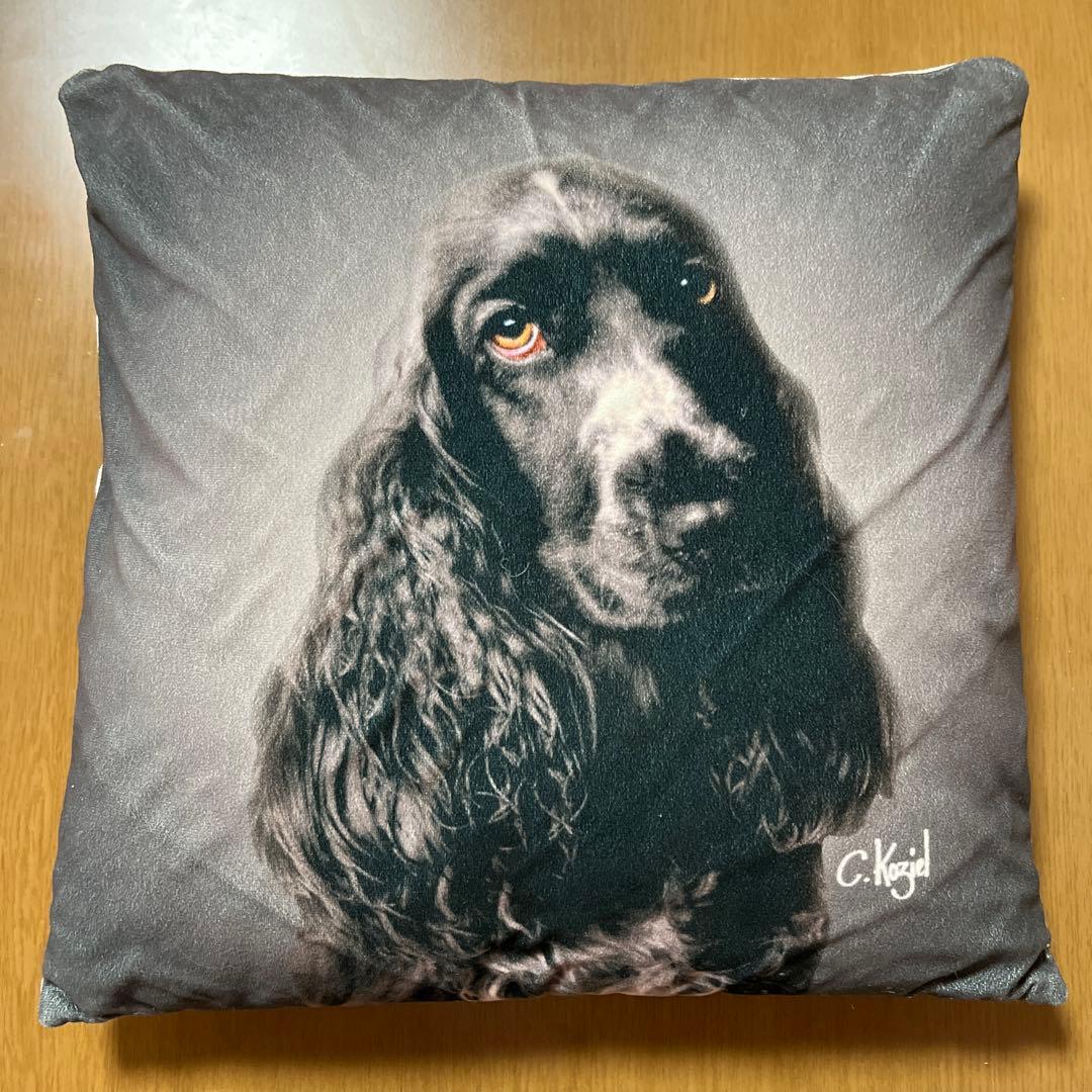 【セール中】C .Koziel イングリッシュコッカースパニエル　クッション