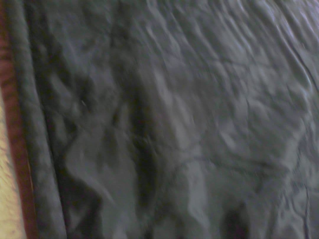 RADIALL PEAFOWL ラディアル　スーベニア