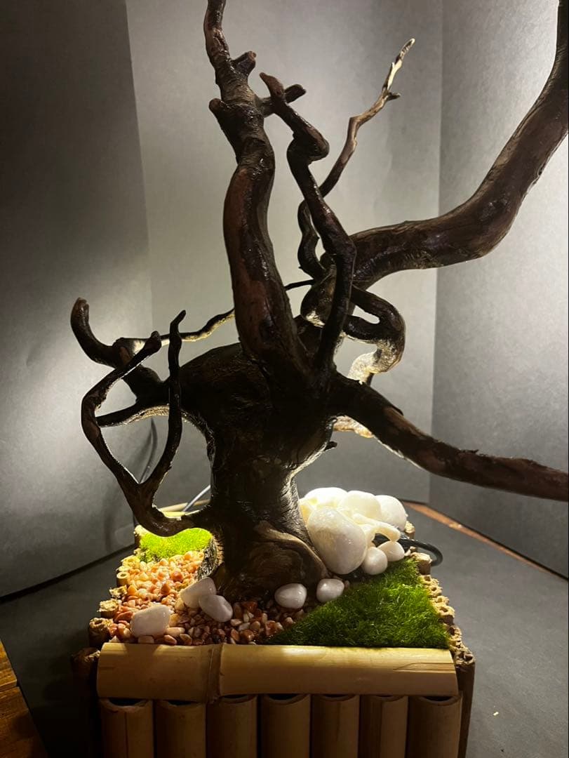 自然が灯る。流木×竹×間接LEDの一点物インテリア