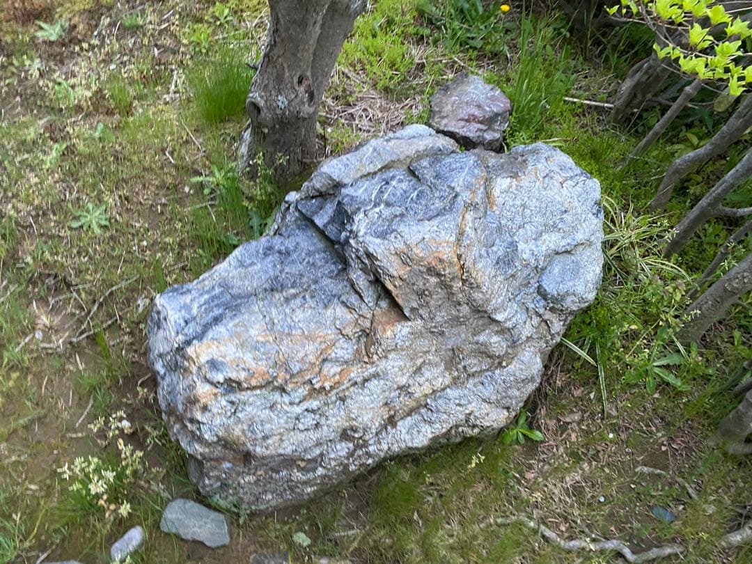 庭石 大 青灰色 約105×60×40㎝ 自然石【石川県引き取り限定】まとめ割