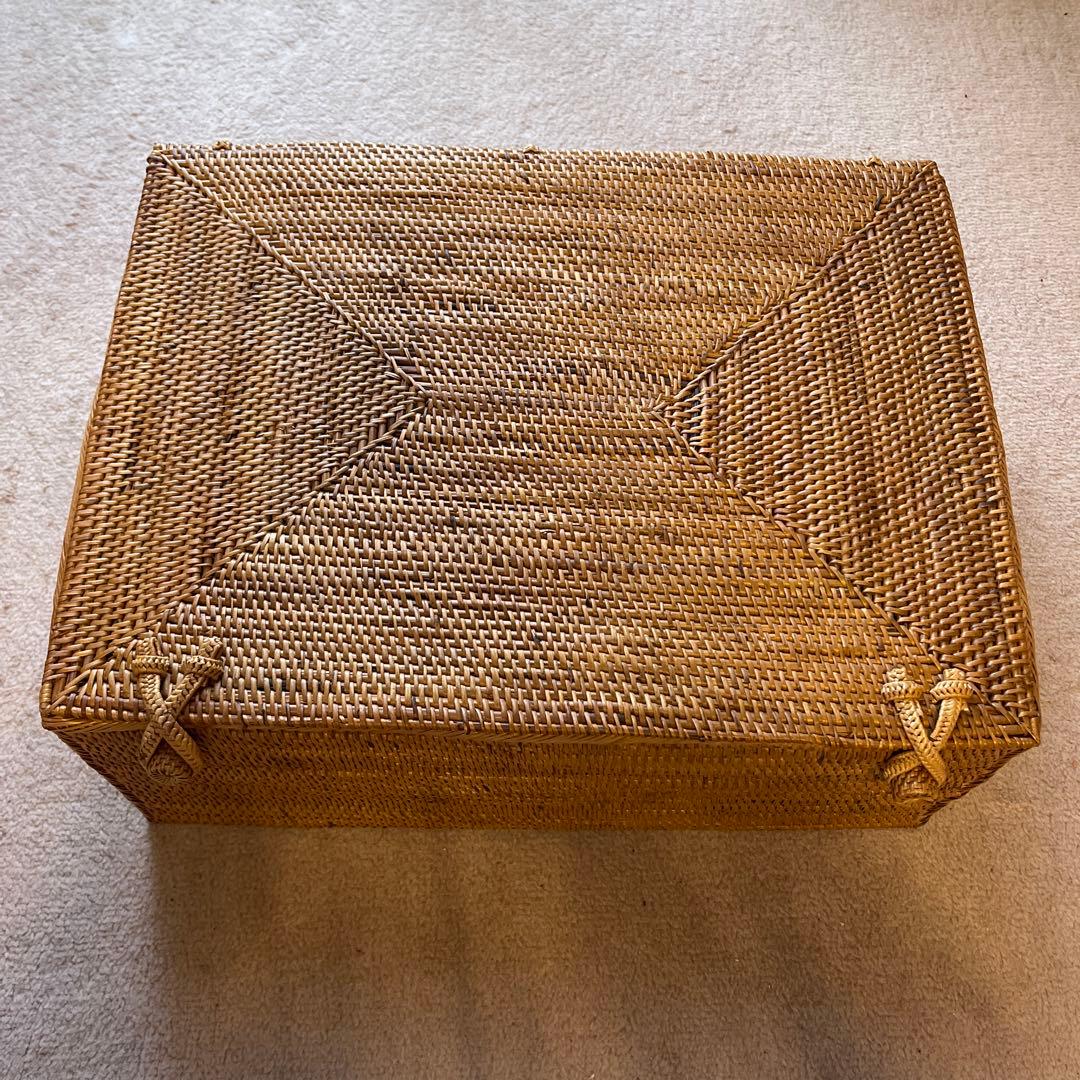 大きなアタかご蓋つき