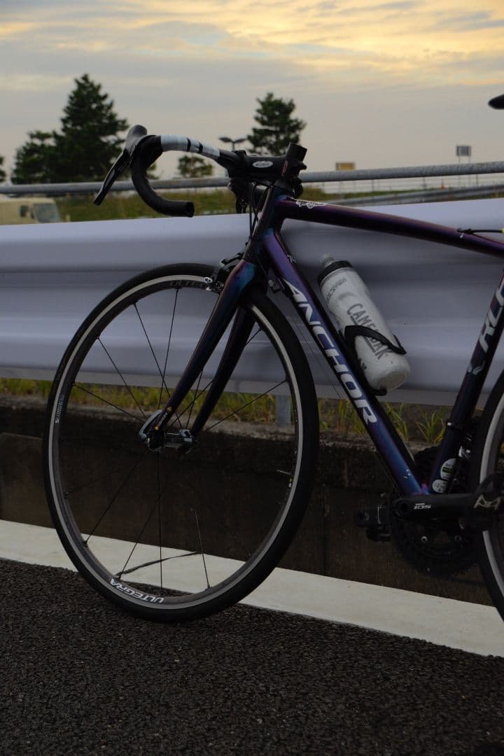 ANCHOR RL6 マジョーラカラー‼️