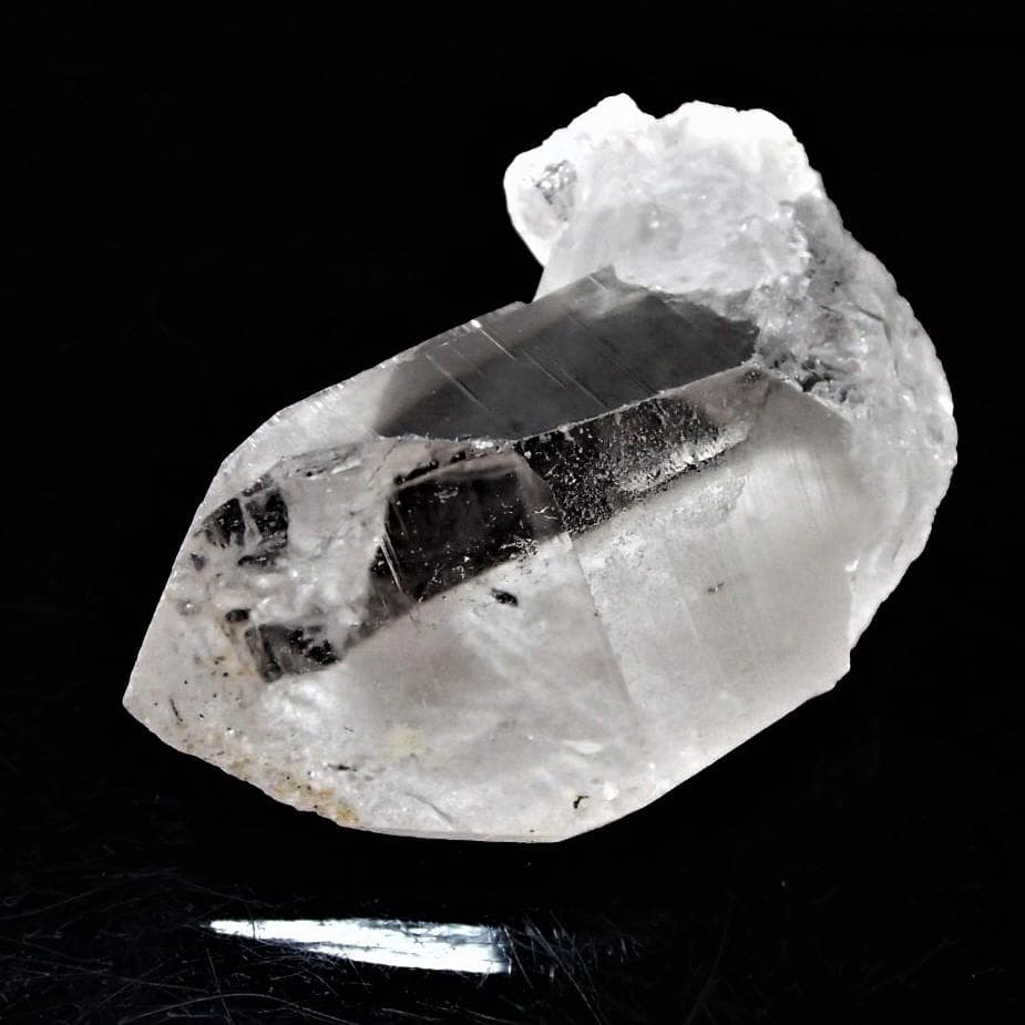 値下しました！ティップリン産ポイント-38-1