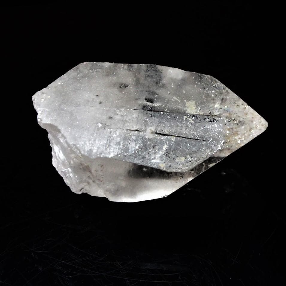 値下しました！ティップリン産ポイント-38-1