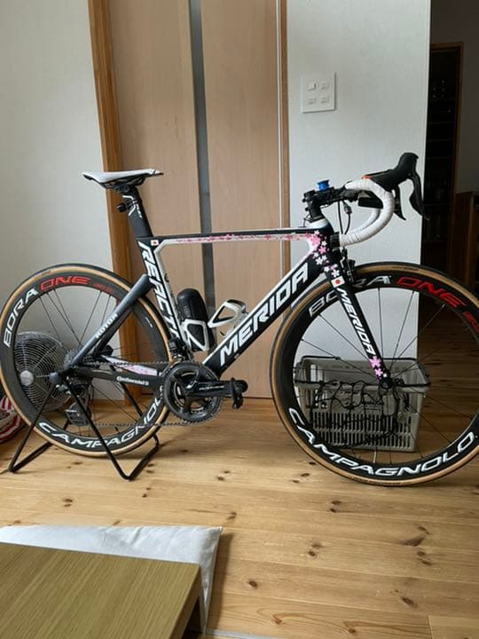 限定100本　MERIDA REACTO TEAM E新城幸也モデル 桜リアクト