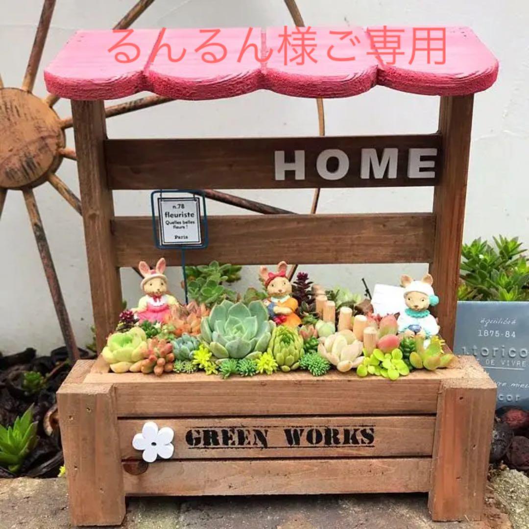 ★多肉植物　寄せ植え〜手作り木製HOUSE うさぎさんのお家寄せ〜★