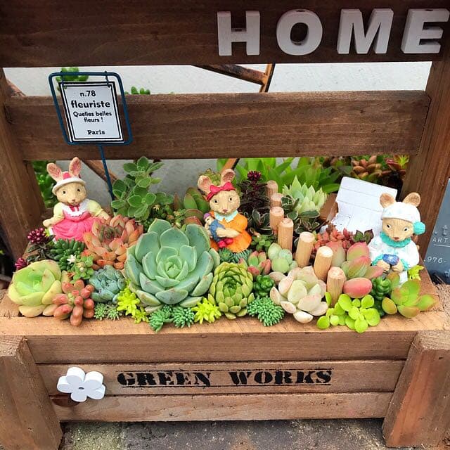 ★多肉植物　寄せ植え〜手作り木製HOUSE うさぎさんのお家寄せ〜★