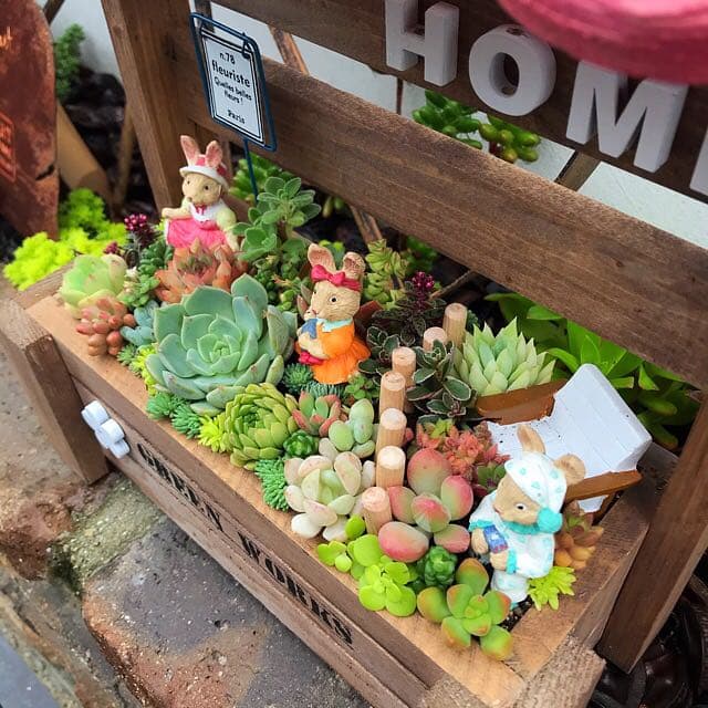 ★多肉植物　寄せ植え〜手作り木製HOUSE うさぎさんのお家寄せ〜★