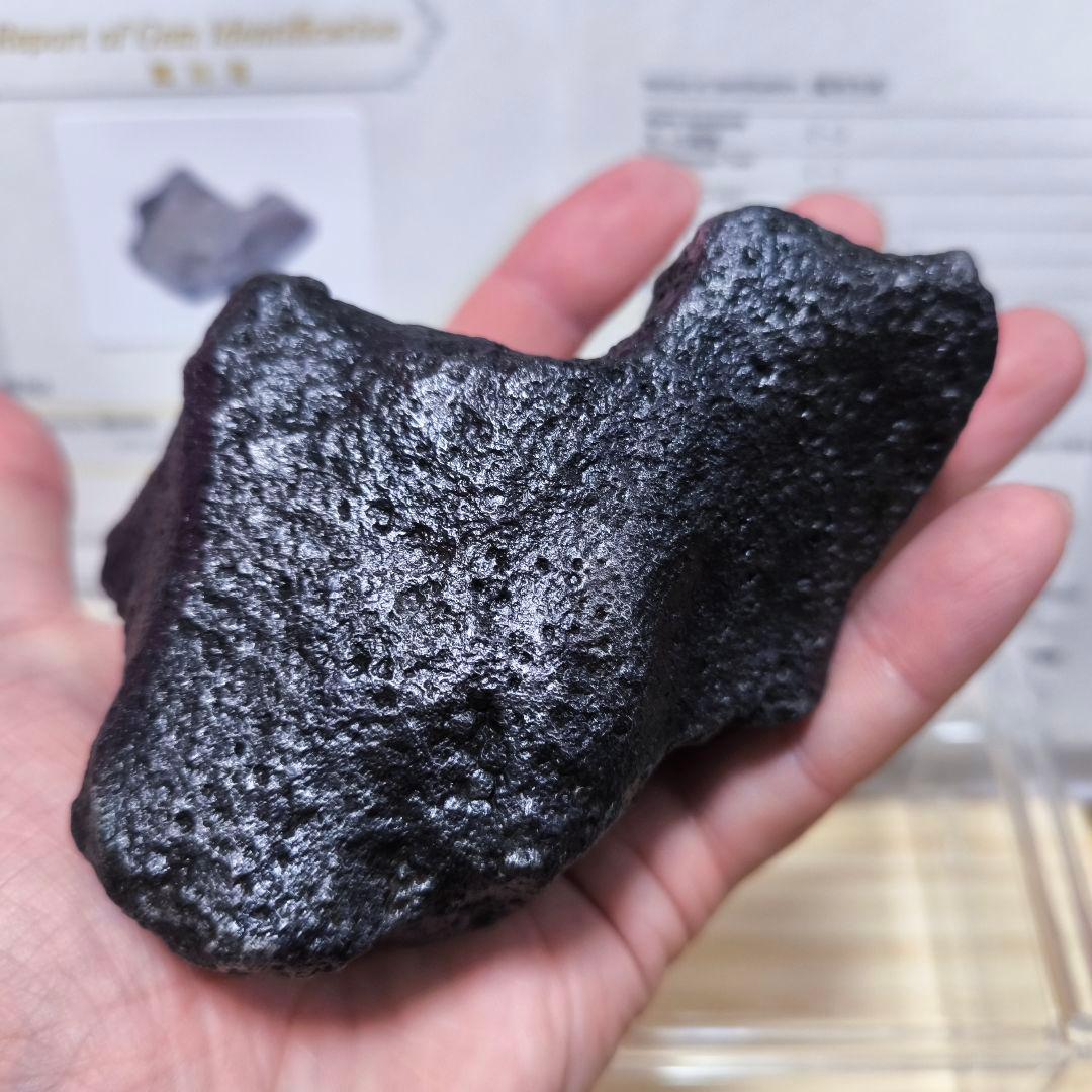 ナンタン隕石 約1.4kg 鑑別書付 極上品質 良型 鉄隕石