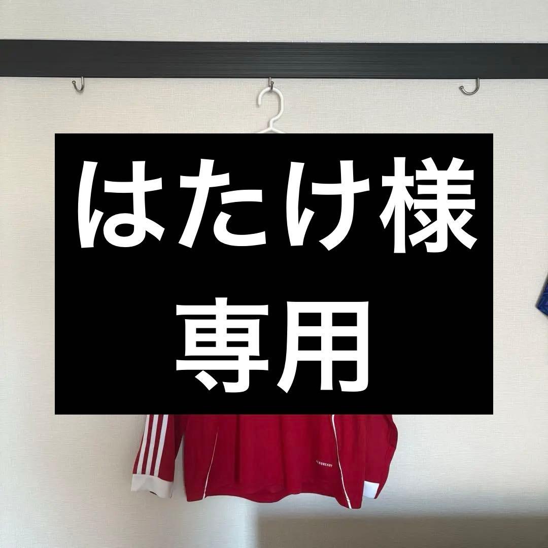 はたけ様 cl仕様 ヴィルツ L