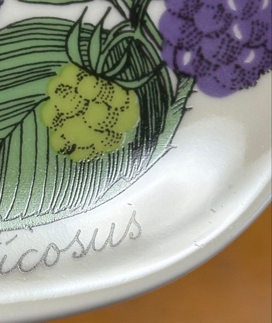 ARABIA エステリ・トムラ ボタニカ \"Rubus fruticosus\"