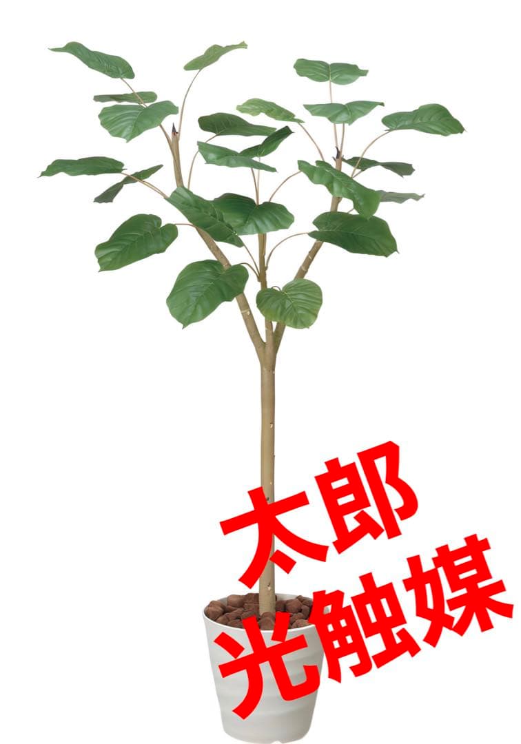光触媒　人工観葉植物　ウォールグリーン　フェイクグリーン　ウンベラータ1.8p