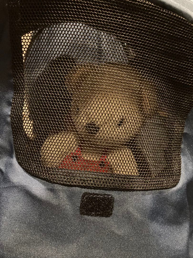 ⭐︎⭐︎⭐︎だいまんき⭐︎⭐︎⭐︎ Joie エヴァライトデュオ　ジープシー　二人乗り